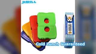 Les blocs de glace ultra fins gardent les aliments au frais