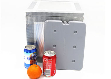 Plaques de refroidissement eutétiques à haut rendement Sacs de réfrigération médicaux 25 X 20 X 1 cm Pour les aliments surgelés