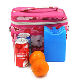 Mini-packs de glace pour refroidir les aliments et les boissons dans les boîtes à lunch, les pique-niques et plus encore. Polyvalents, portables et réutilisables pour le camping, la pêche et plus encore.