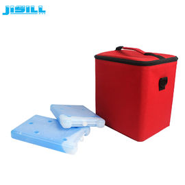 Grade alimentaire 600 ml refroidisseur de glace brique non caustique pour le transport par chaîne froide pour les aliments surgelés