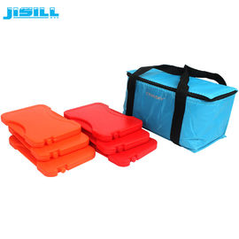 17.8*12.2*1.4cm Mini-Packs de glace pour les aliments surgelés