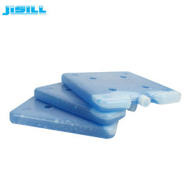 Plaques froides ou blocs de glace en forme de carré de 450 G pour les boîtes froides pour les aliments surgelés