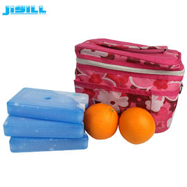 FDA approuvé HDPE dur plastique gel refroidisseur Pack de glace Camping aliments surgelés pour le sac de refroidisseur pour les aliments surgelés