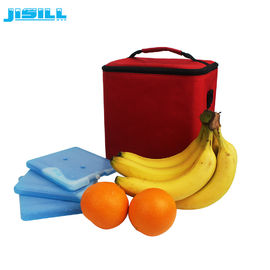 Le congélateur de sac de déjeuner de HDPE de service d'OEM emballe 16x16x1.4cm non caustique