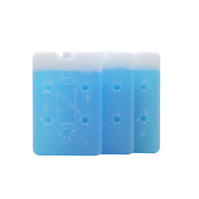 Fabrique personnalisée de haute qualité refroidisseur de glace plat refroidisseur de déjeuner en brique Ice Pack avec flocon de neige