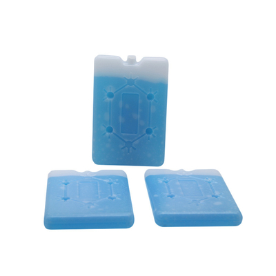 Fabrique personnalisée de haute qualité refroidisseur de glace plat refroidisseur de déjeuner en brique Ice Pack avec flocon de neige