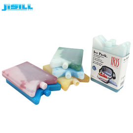 Petites vessies de glace en plastique réutilisables non-toxiques pour des sacs et des refroidisseurs de déjeuner
