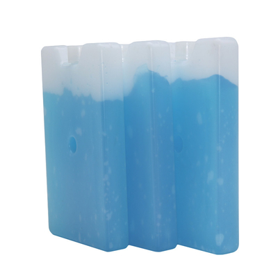 Boîte dure de refroidisseur de gel de petites vessies de glace en plastique portatives pour le sac de pique-nique